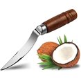 thumbnail image 1 of 1 herramienta de coco, removedor de carne de coco, mango de madera duradero de acero inoxidable, raspador de coco, cuchillo compatible con cocina y hogar Afortunado Sencillez, 1 of 5
