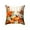 C, variant on Hometravel Thanksgiving Pillow Cover, Fall Pumpkin Pattern Cushion Case, Seasonal Decorative Pillow Protector with Hidden Zipper