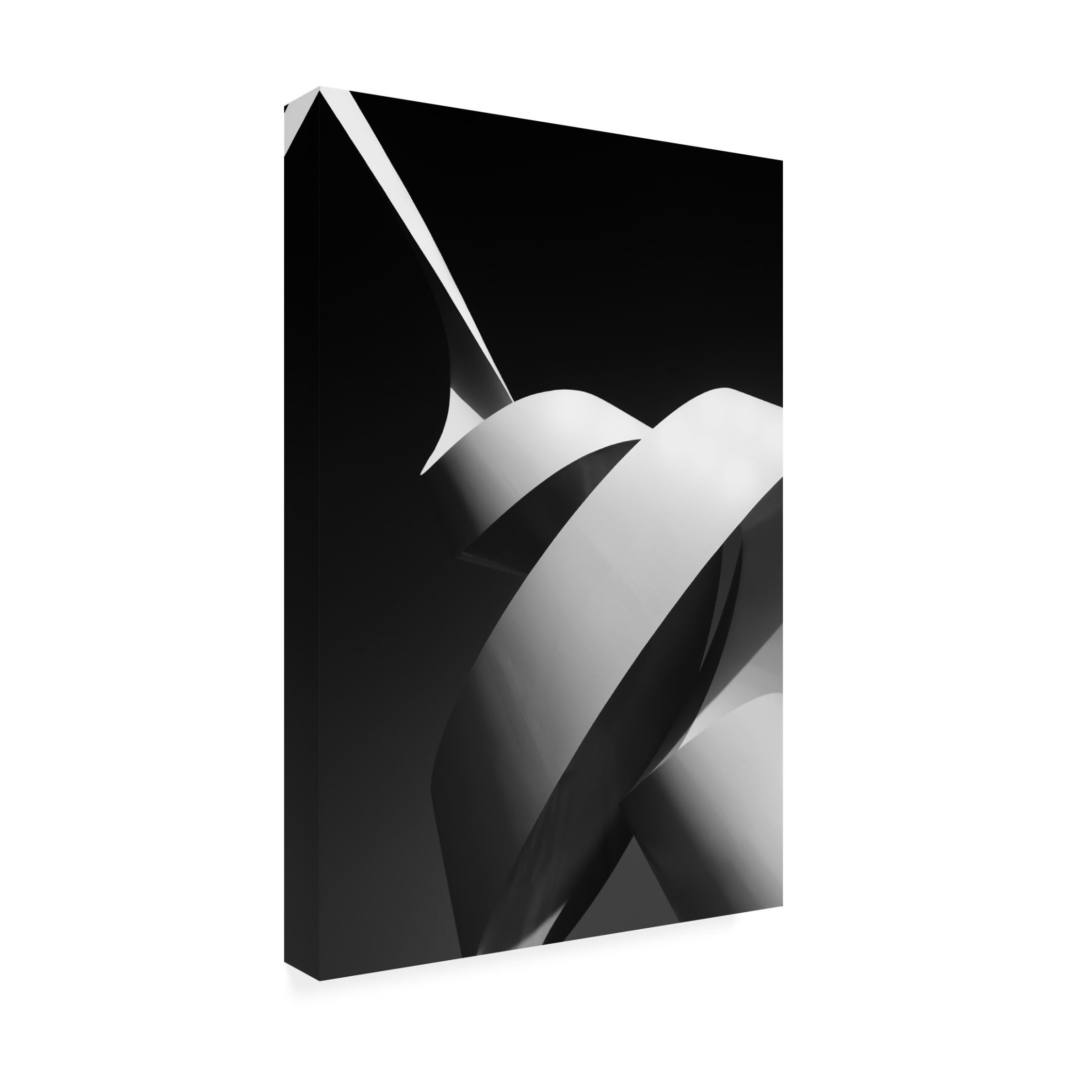 Canvas Wall Art - Joao Galamba 'The Scroll' Wall Art for Living Room, Bedroom, or Office Décor by Trademark Fine Art - 22 x 32 Inches