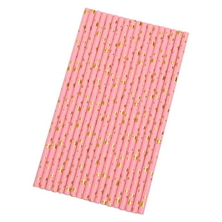 Light Pink and Hot Pink Striped 25pc Paper Straws