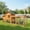 Middle, variant on 3-in-1 Chicken Nesting Box Egg Storage Box with Asphalt Roof, Chicken Coop with Swing & Perch for Hens