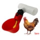 thumbnail image 3 of de aves de 5 uds, taza para beber, s automáticos, accesorios para de pollo, codorniz, aves , beber agu bebida Colco vasos de agua para aves de corral, 3 of 8
