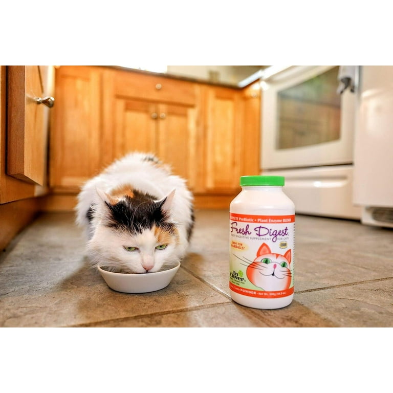 In Clover Fresh Digest Daily Intestinal Aid for Cats Walmart