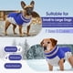 thumbnail image 5 of Abrigo para perros AOFITEE, impermeable, reflectante, de invierno, azul para perros, 5 of 5