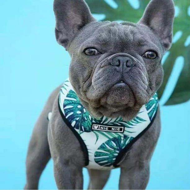Pug Small Dogs Harness No Pull Dog Vest Harness for Small Medium Dog Breathable Pets Puppy French Bulldog Dog Harness Leash Set ShopWise Round Walmart en linea
