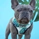 thumbnail image 2 of Pug Small Dogs Harness No Pull Dog Vest Harness for Small Medium Dog Breathable Pets Puppy French Bulldog Dog Harness Leash Set ShopWise Round, 2 of 17