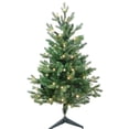 thumbnail image 1 of Kurt Adler TR60300LEDWW 3 ft. Warm White LED Jackson Pine Tree, 1 of 1