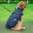 thumbnail image 2 of Large Pet Dog Jacket With Harness Winter Warm Dog Clothes Waterproof, 2 of 4