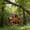 Brown, variant on Sktrjpolfis Natural Wooden Birdhouse, 6 Large Separate Rooms with 1.57" Entrance, for Garden Patio