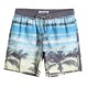 thumbnail image 1 of Bañador de paisaje Tropical para hombre, pantalones cortos de surf 3D, shorts de playa para niño, bañadores masculinos, pantalones deportivos, calzoncillos Fivean unisex, 1 of 2