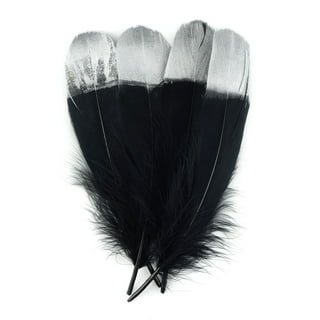  Black Feathers,50Pcs 6-8” Black Feathers for Centerpieces,Feather  for Crafts Bulk for Wedding Party Centerpieces,Black Craft Feathers Bulk  for DIY Halloween : Arts, Crafts & Sewing