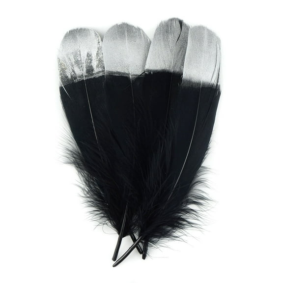 ZUCKER 4pc Silver Dipped Black Natural Goose Craft Feathers - Dream Catcher, DIY, Costume Art Supplies - 6-8 Inch