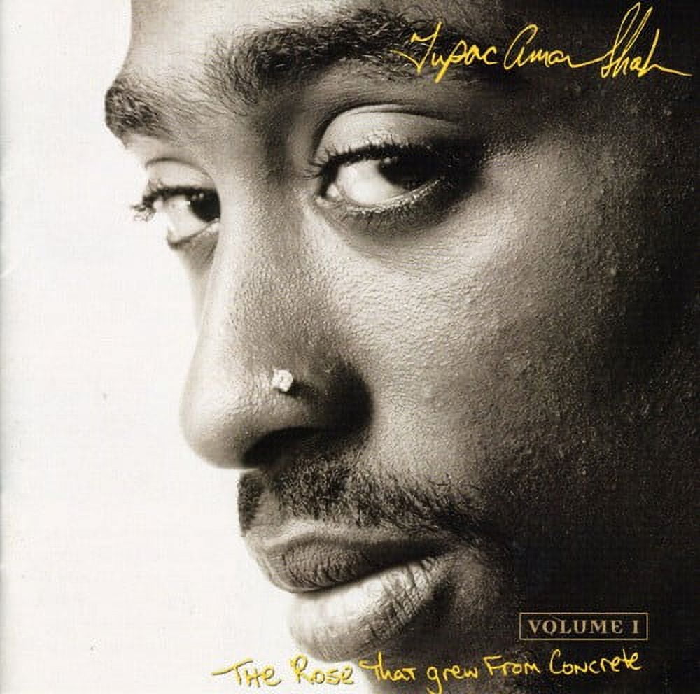 2pacなど、洋楽 ヒップホップ R&B CD 大量セット 2pacなど、洋楽 ヒップホップ R&B CD 大量セット 2Pac – Greatest Hits