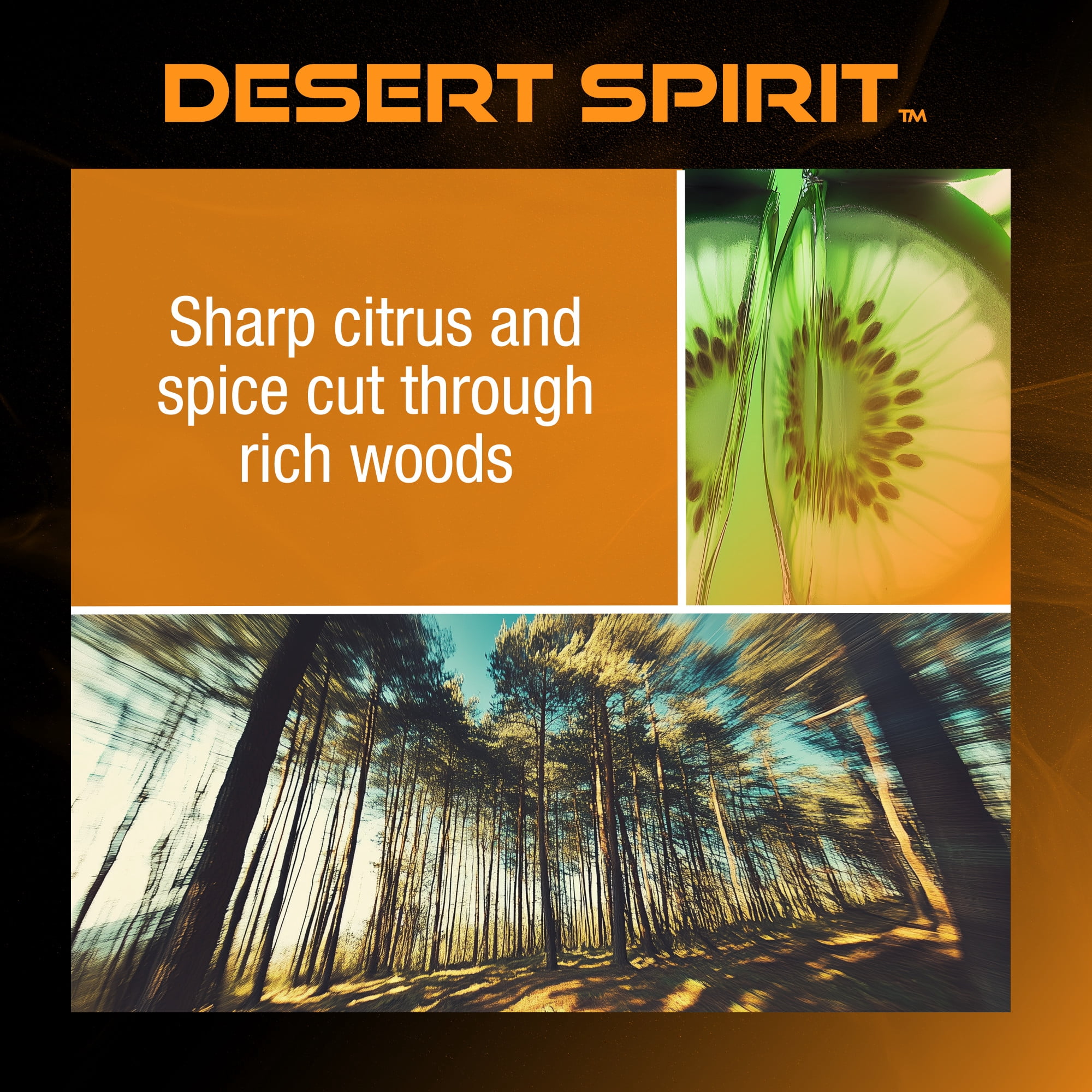 DRVN Mini Vent Clip Car Air Freshener, Desert Spirit Scent (2 Count), Delivers Sharp Citrus and Spice Cut Through Rich Woods