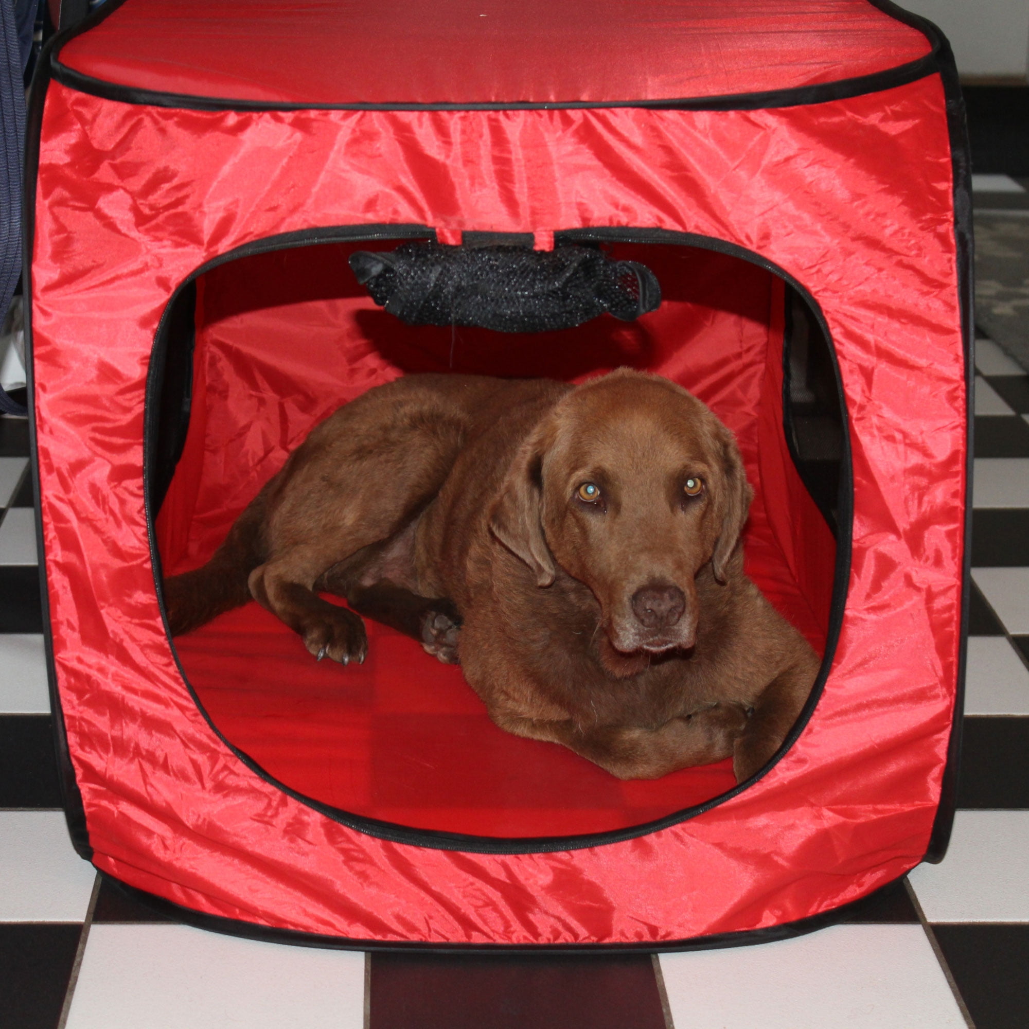 Large pop up dog kennel hot sale
