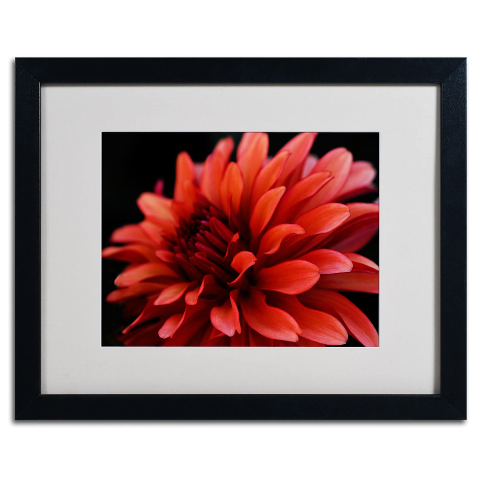 Trademark Art 'Red Dahlia' Matted Framed Art by Kurt Shaffer