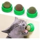 thumbnail image 1 of Catnip Balls Juguete de hierba gatera para gatos, comestible natural saludable (3 piezas), 1 of 5