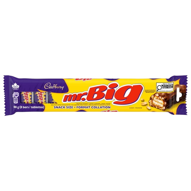 CADBURY MR. BIG, Chocolatey Candy Bar, Snack Size
