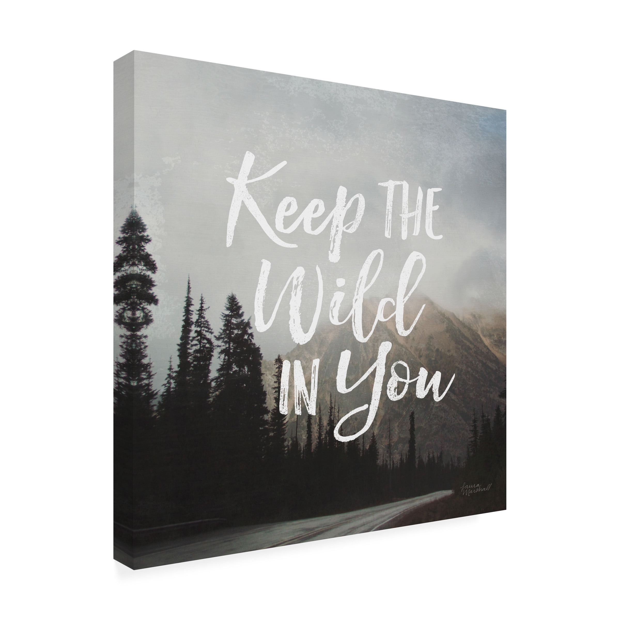 Laura Marshall 'West Coast Wandering III' Canvas Art