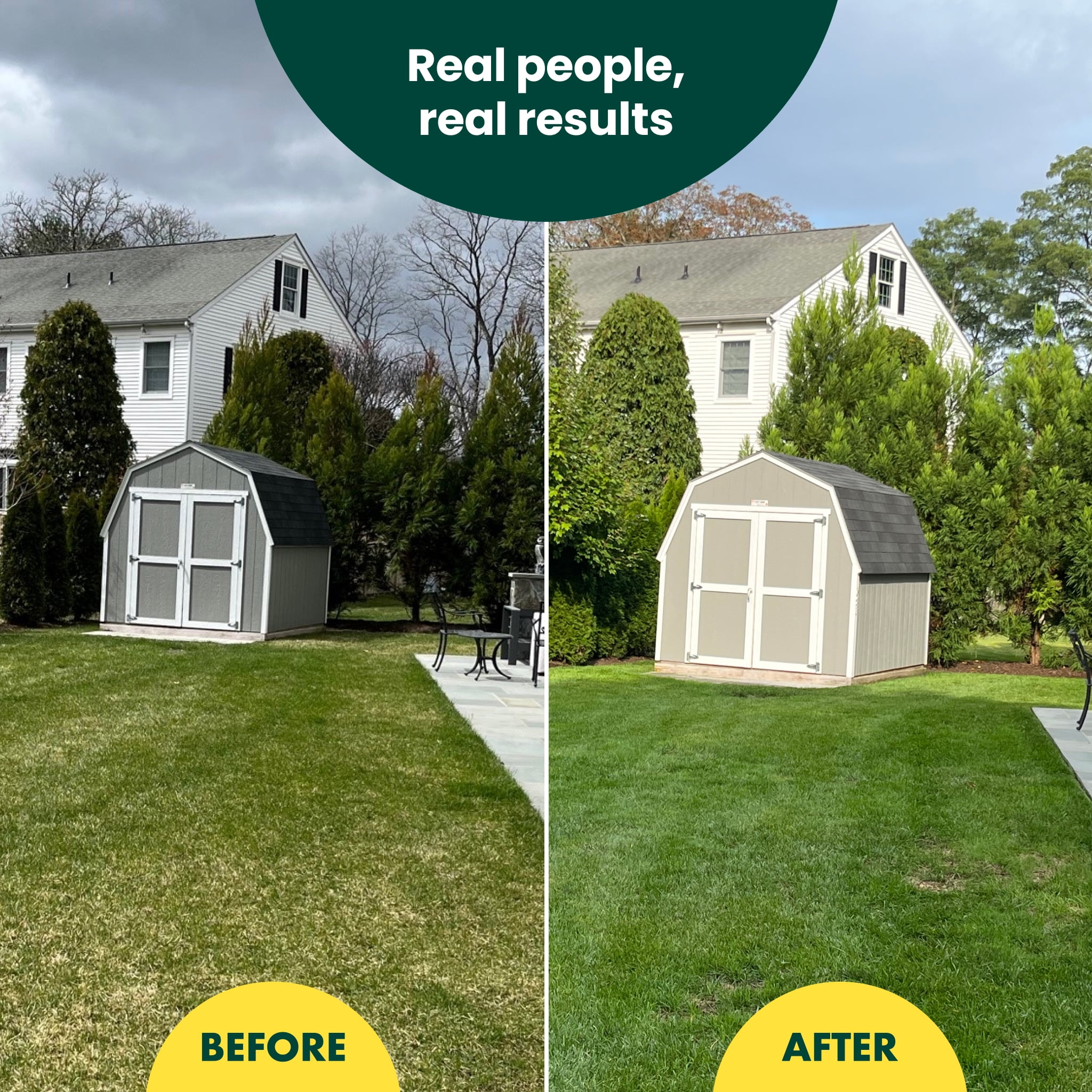 Sunday Bare Repair: Pet Lawn Grass Seed + Lawn Treatment, 3.75 lb, Sun & Shade