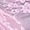 Pink, variant on Women Mesh Floral Lace Long Sleeve Tops See Through Layering Undershirt Blouse Crew Neck Sheer Casual Shirts Khaki L