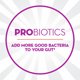 Align Prebiotic Probiotic Supplement Gummies, Natural Flavors, 60 Ct - image 9 of 10