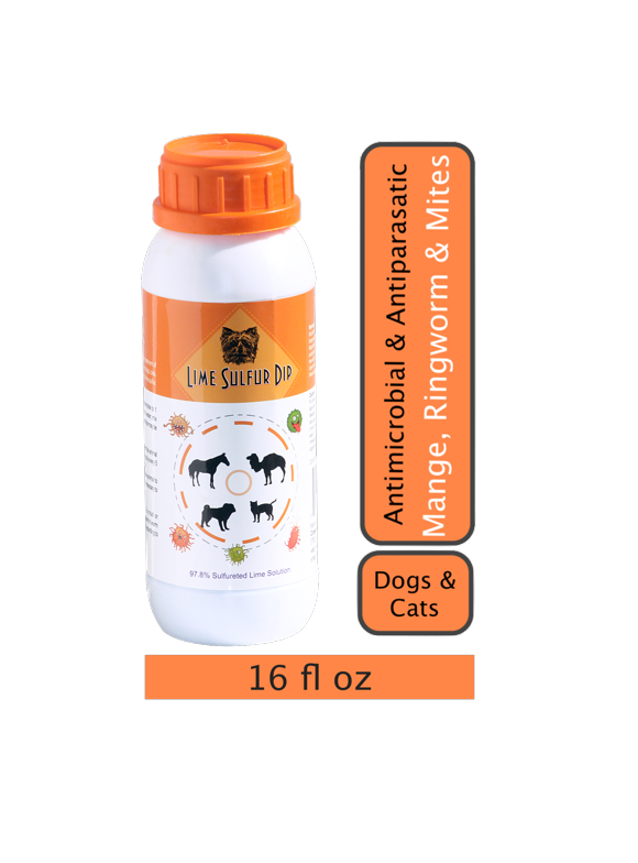 Dog Hot Spot and Itch Relief in Dog Health & Wellbeing