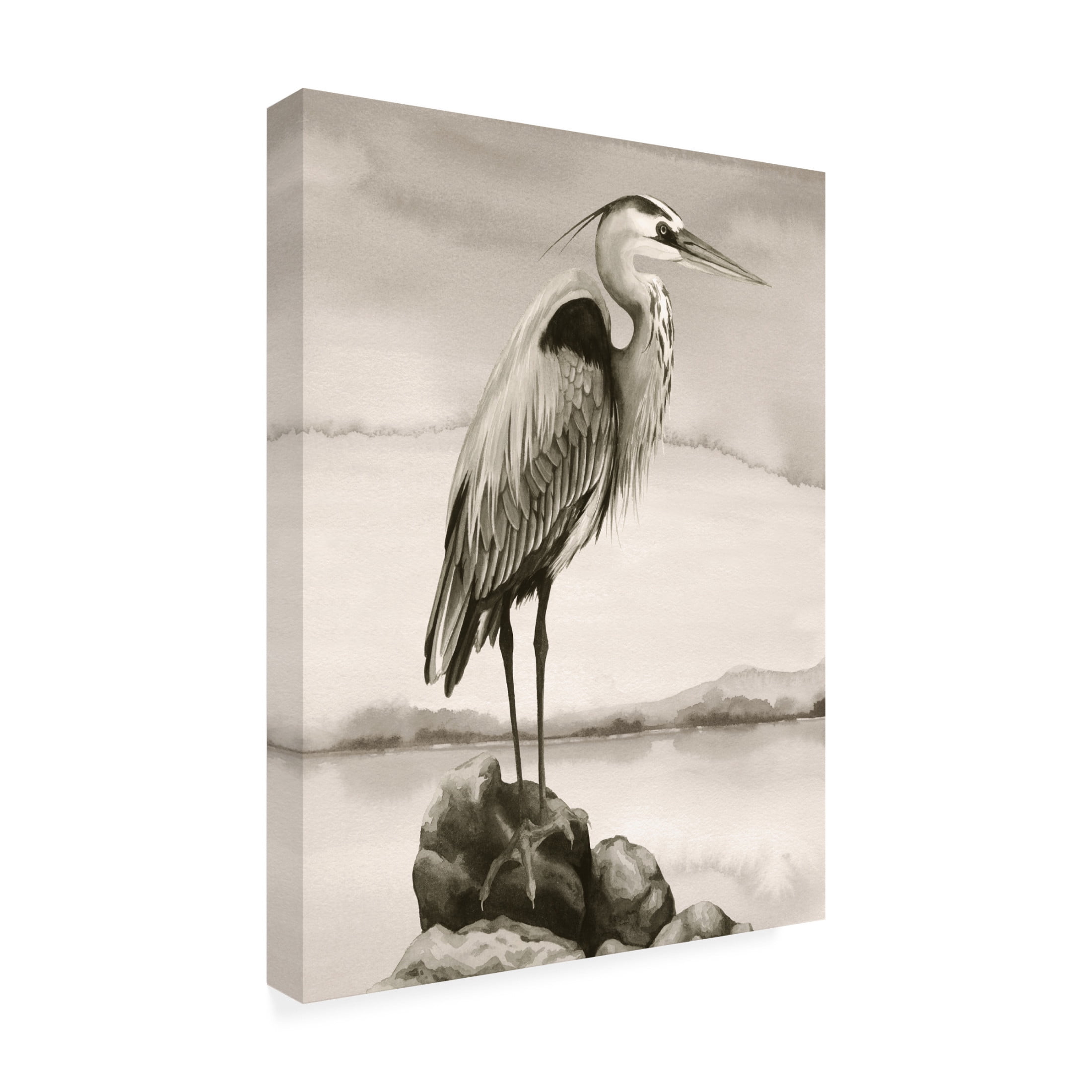 Trademark Fine Art Grace Popp  Sepia Watcher II Canvas Wall Art