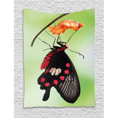 Butterfly Tapestry Wall Hanging - Swallowtail Butterfly Tapestry, Amazing Moment Coming Out of Cocoon Chrysalis Transformation, Wall Hanging for Bedroom Living Room Dorm Decor, Red Black Green, by Ambesonne