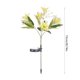 thumbnail image 2 of Lámpara De Pie De Jardín De Plástico 7 Luces Solares De Simulación De Flores Con 42 Led Blancos Cálidos, Impermeables, Para Jardín, Decoración De Césped, Color Amarillo, 73cm (1 Unidad) Rkxzt, 2 of 8