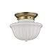 thumbnail image 3 of Hudson Valley Lighting Dutchess - One Light Small Flush Mount - 9 Inches Wide by 7.5 Inches High-Aged Brass Finish, 3 of 3