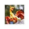 thumbnail image 4 of Safari Ltd. Lava Dragon Figurine - Mythical 7.5" Dragon Figure for Boys, Girls & Kids Ages 4+, 4 of 7