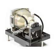 Vivitek D8900 Projector Lamp with Module