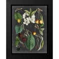 thumbnail image 2 of Vision Studio 15x18 Black Modern Framed Museum Art Print Titled - Orchard Varieties II, 2 of 5