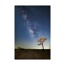 Trademark Fine Art 'Joshua Tree Milkyway' Canvas Art by American School