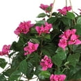 thumbnail image 5 of Nearly Natural 24" Bougainvillea Hanging Basket Artificial Plant, Pink, 5 of 7