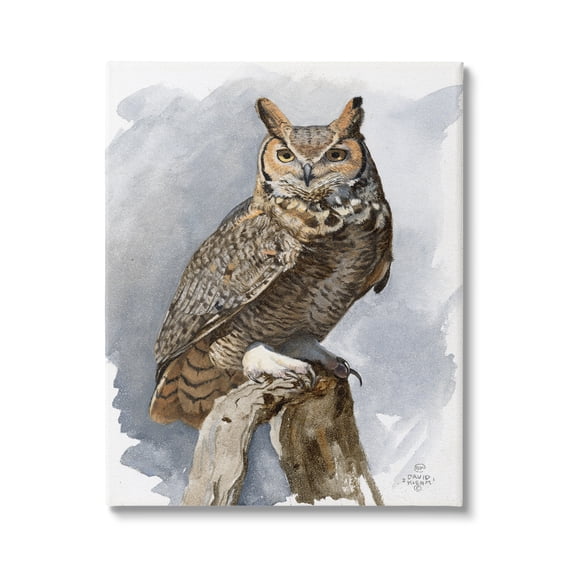 Stupell Industries Horned Owl Perched Animals & Insects Painting Gallery Wrapped Canvas Print Wall Art, 16 x 20