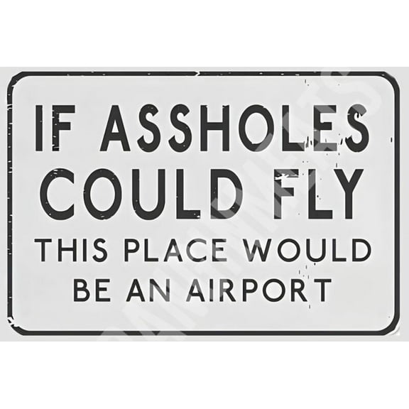 If A$$holes Could Fly This Place Airport Funny Metal Sign Metal Sign SIZE: 8" x 12"