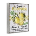 thumbnail image 3 of Stupell Industries French Country Lemon Blossom Market Gray Framed Giclee Art, 16 x 20, by Creatif Belle, 3 of 8