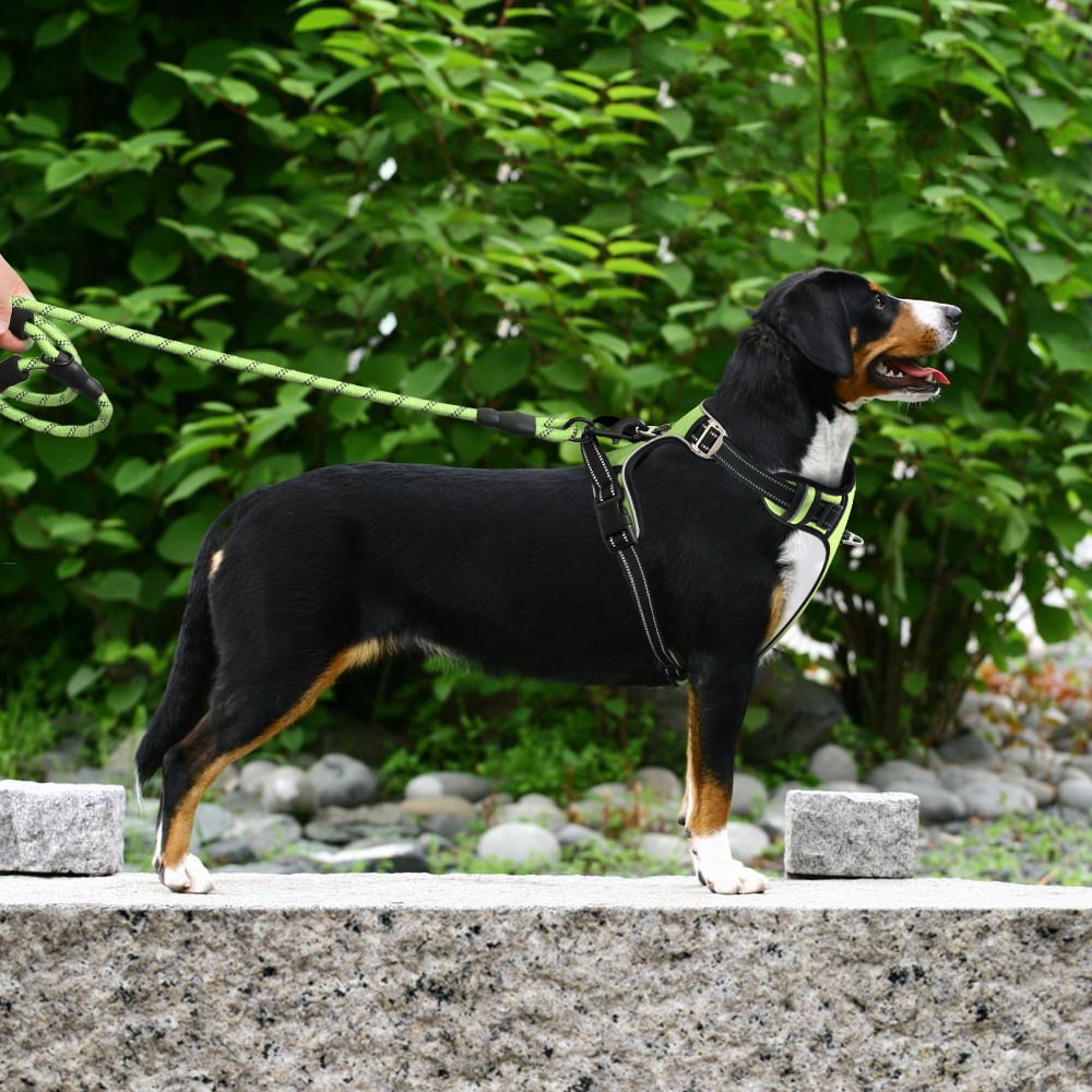 Plutus Pet No Pull Dog Harness, Release at Neck, Adjustable Reflective Dog Vest Harness, L, Green