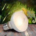 thumbnail image 4 of 2 Pack Reptile Uvb Uva Heat Lamp Bulb For Reptiles Truly Sun-like Bright Heat For Reptiles, Amphibi - ya, 4 of 5
