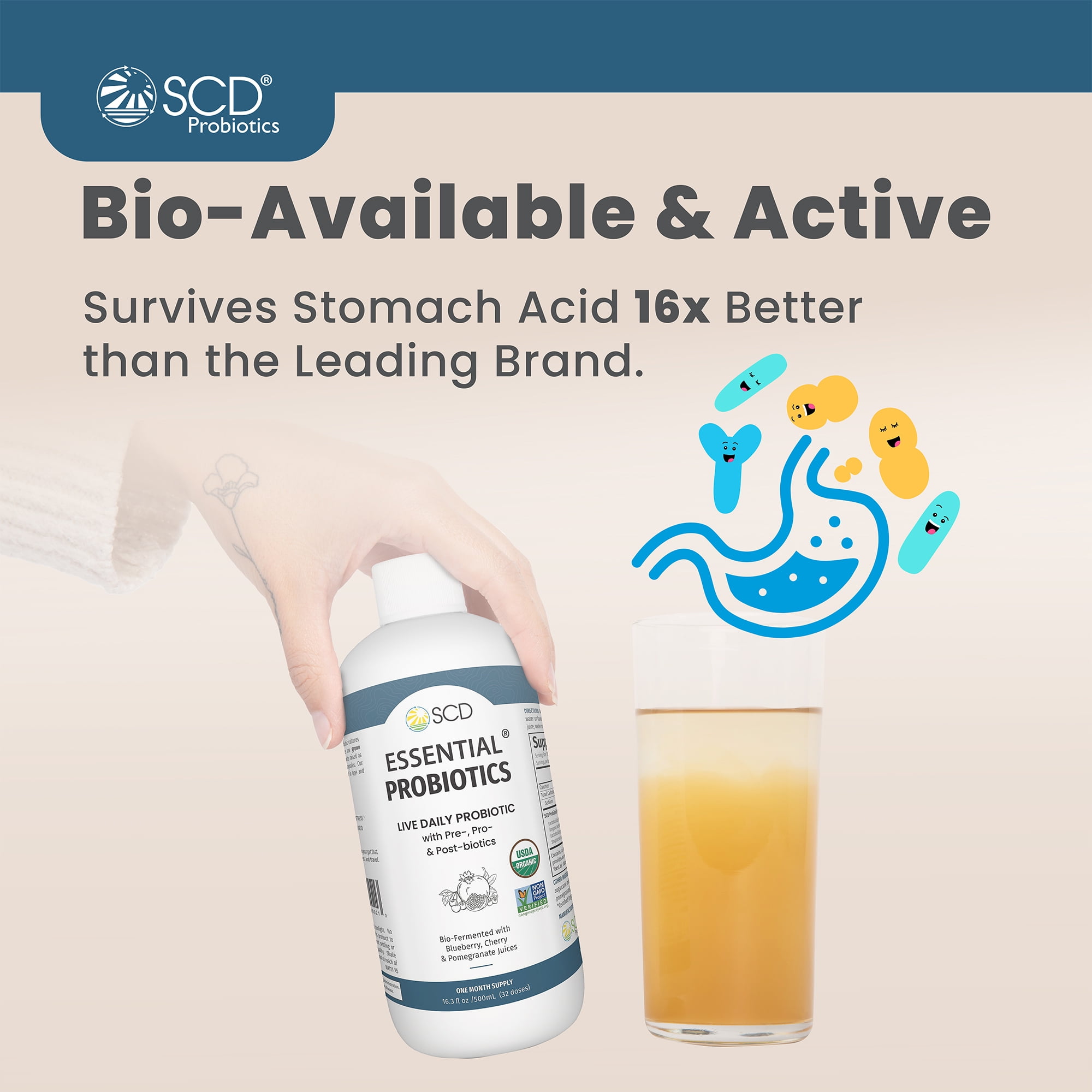 SCD Essential Probiotics, Liquid Probiotic Supplement with 11 Live Strains, 16.3 Fl Oz
