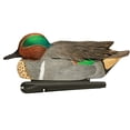 thumbnail image 4 of Avian X Topflight Green-Winged Teal Duck Realistic Floating Decoys, 18 Pack, 4 of 6