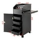 thumbnail image 2 of Carrito de peluquería Salon SPA Beauty Happybuy con 4 cajones, 2 of 5