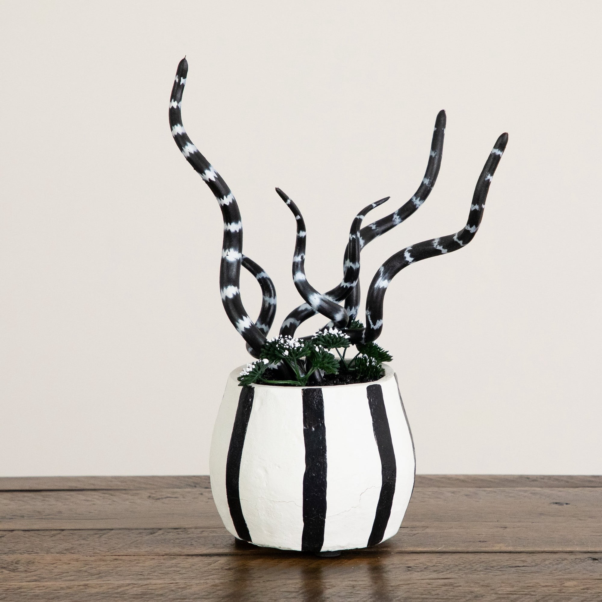 10in. Artificial Halloween Midnight Stripe Snake Plant in Decorative Planter