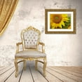 thumbnail image 3 of Fitzharris, Tim 18x14 Gold Ornate Wood Framed with Double Matting Museum Art Print Titled - Sunflowers, 3 of 4
