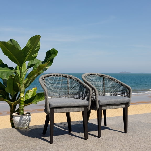 Safavieh Saxon Modern Wood Outdoor Armchair - Set of 2, Gray