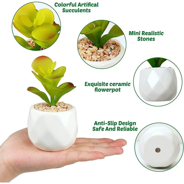 ALAGIRLS Juego De 4 Plantas Suculentas Artificiales En Macetas De Cerámica De Búho, Mini Suculentas De Interior, Pequeñas Suculentas En Maceta Para Oficina, Escritorio, Dormitorio, Estantería
