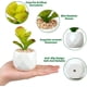 thumbnail image 4 of Paquete de 4 mini plantas suculentas artificiales en macetas, juego de suculentas falsas con macetas de cerámica blanca, plantas suculentas artificiales en maceta para el hogar, 4 of 5