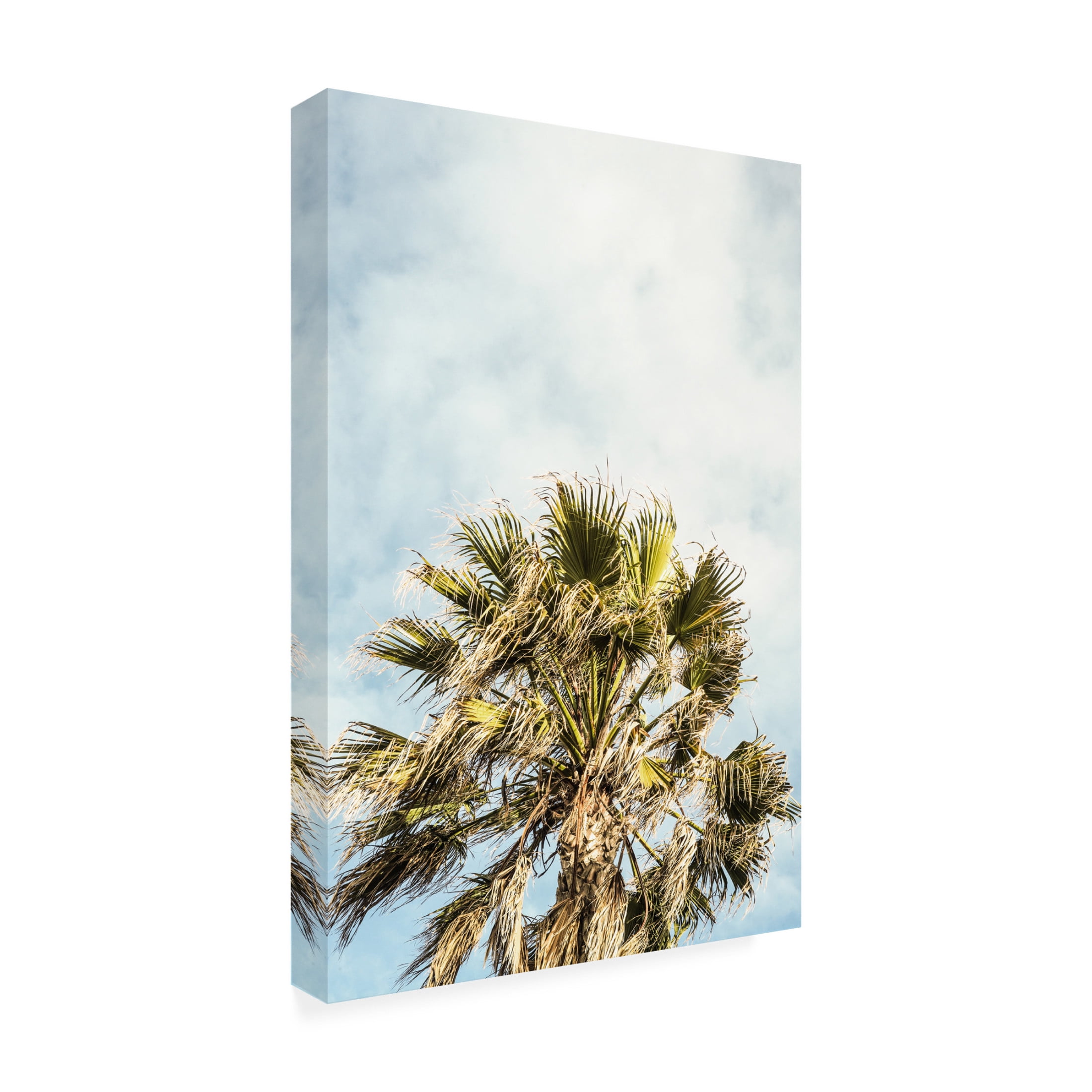 Trademark Fine Art Shot by Clint Breezy Canvas Wall Art